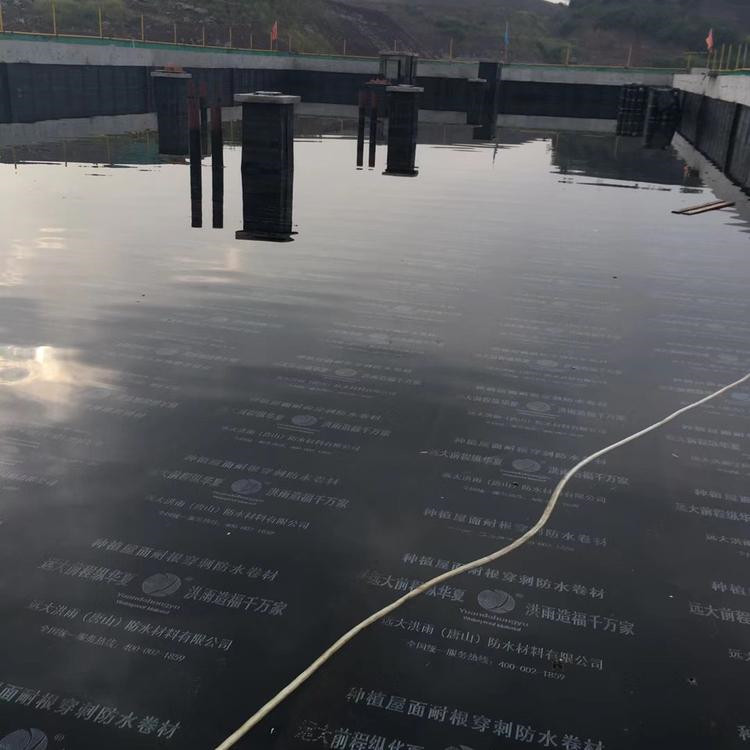 白云堵漏防水