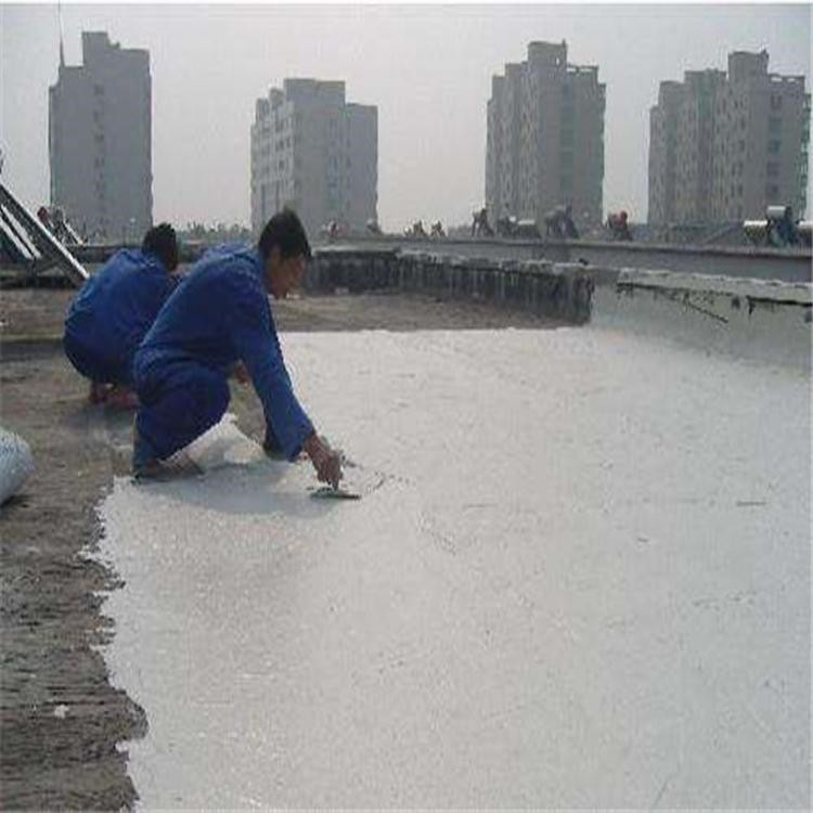 白云专业防水补漏堵漏