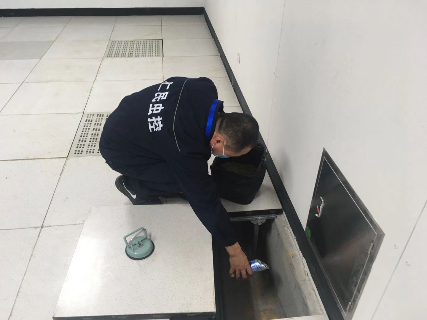 崇州灭鼠公司系统防控