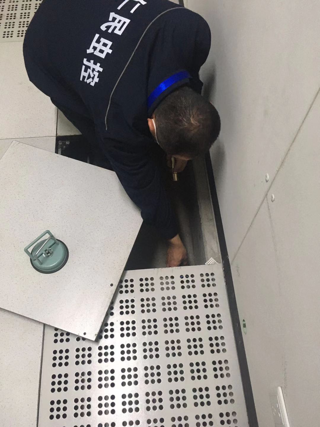 新津灭鼠公司家庭服务