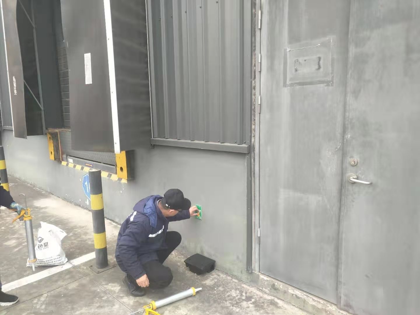 高新区灭鼠公司快捷