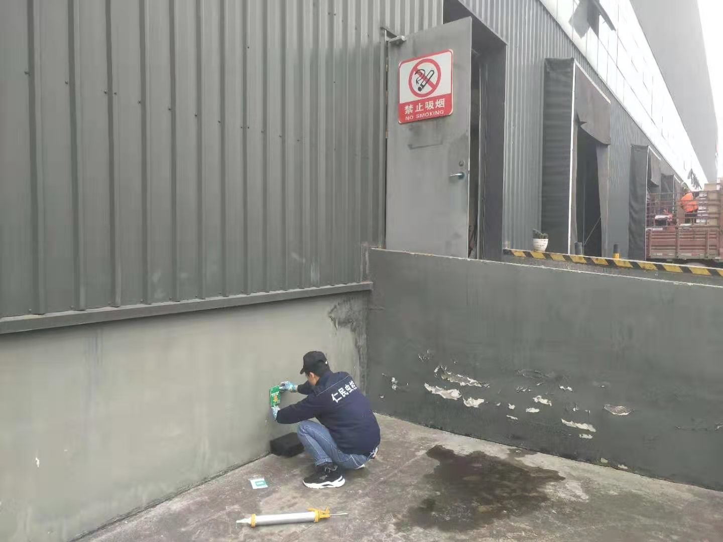 金牛区灭鼠公司耗子