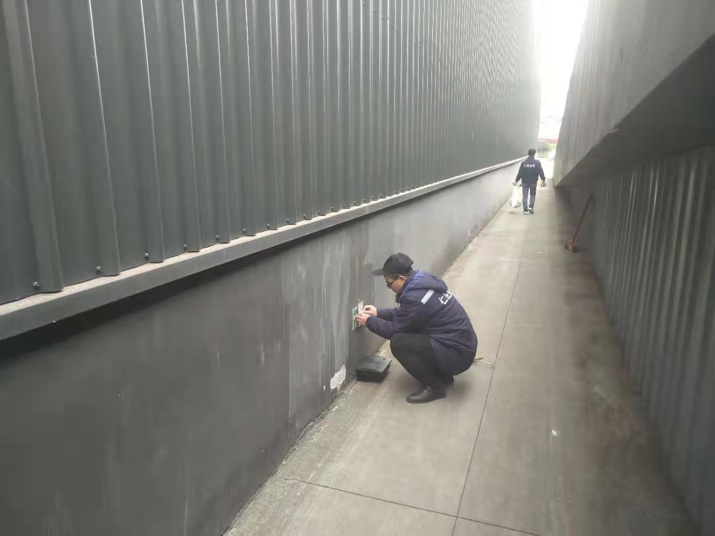 青羊区灭鼠公司家鹿