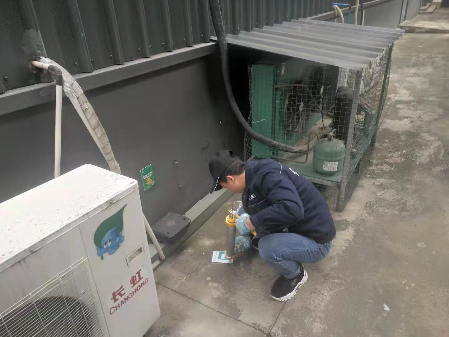 龙泉驿灭鼠公司家鹿