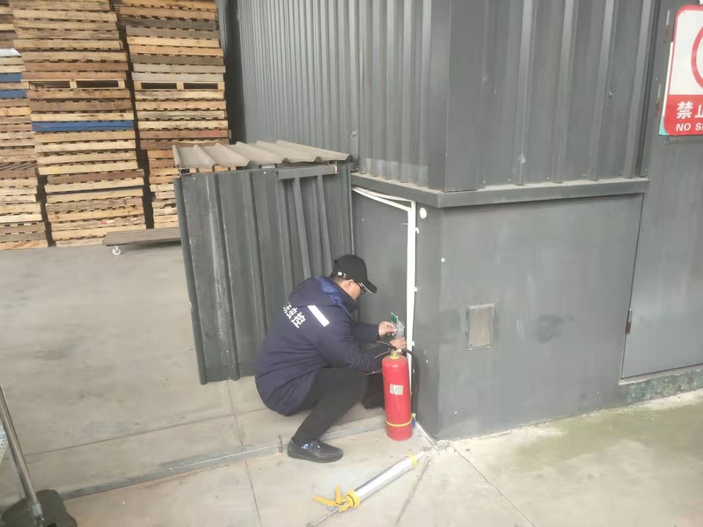金牛区灭鼠公司耗子