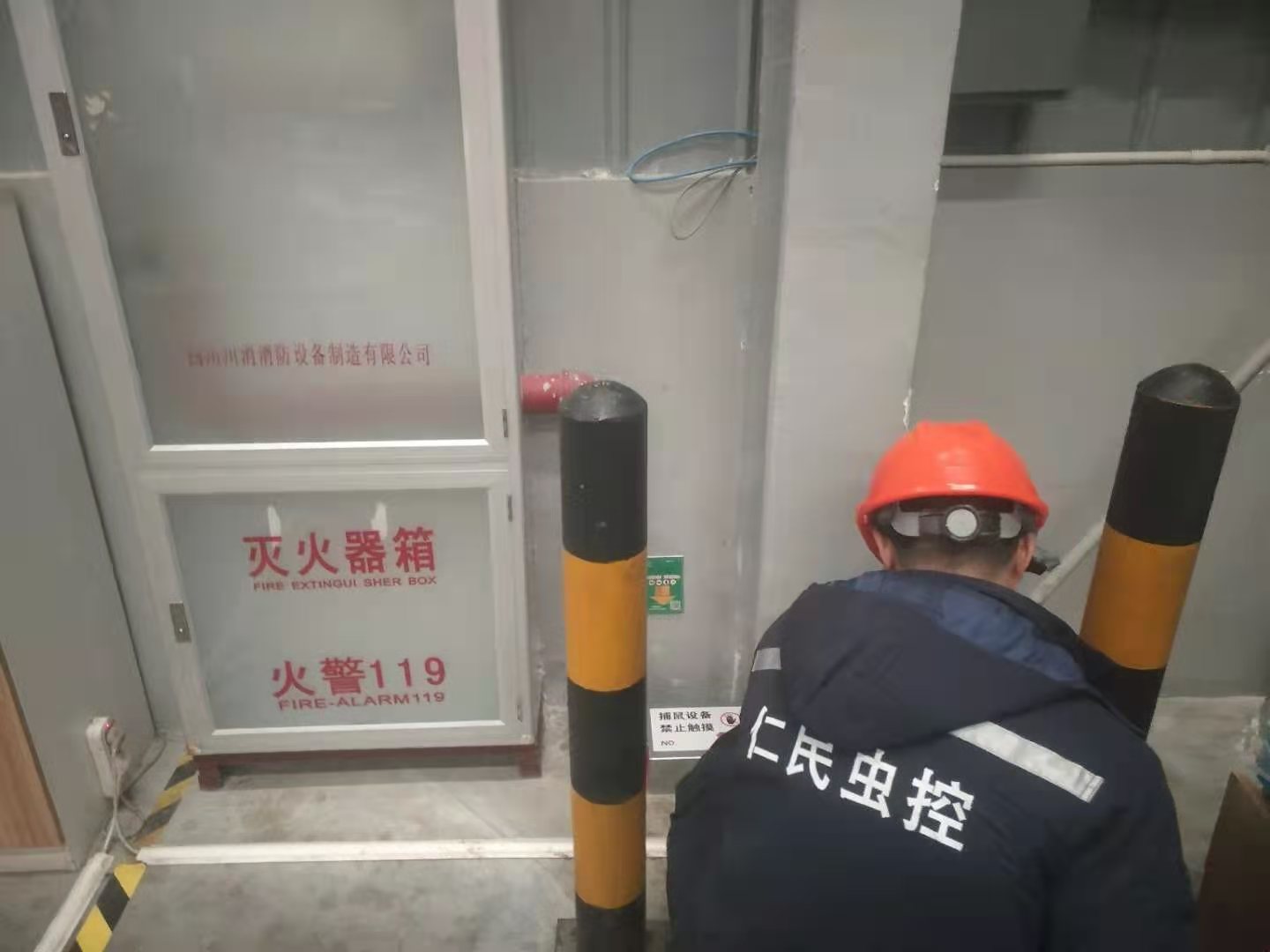 郫都灭鼠公司老鼠