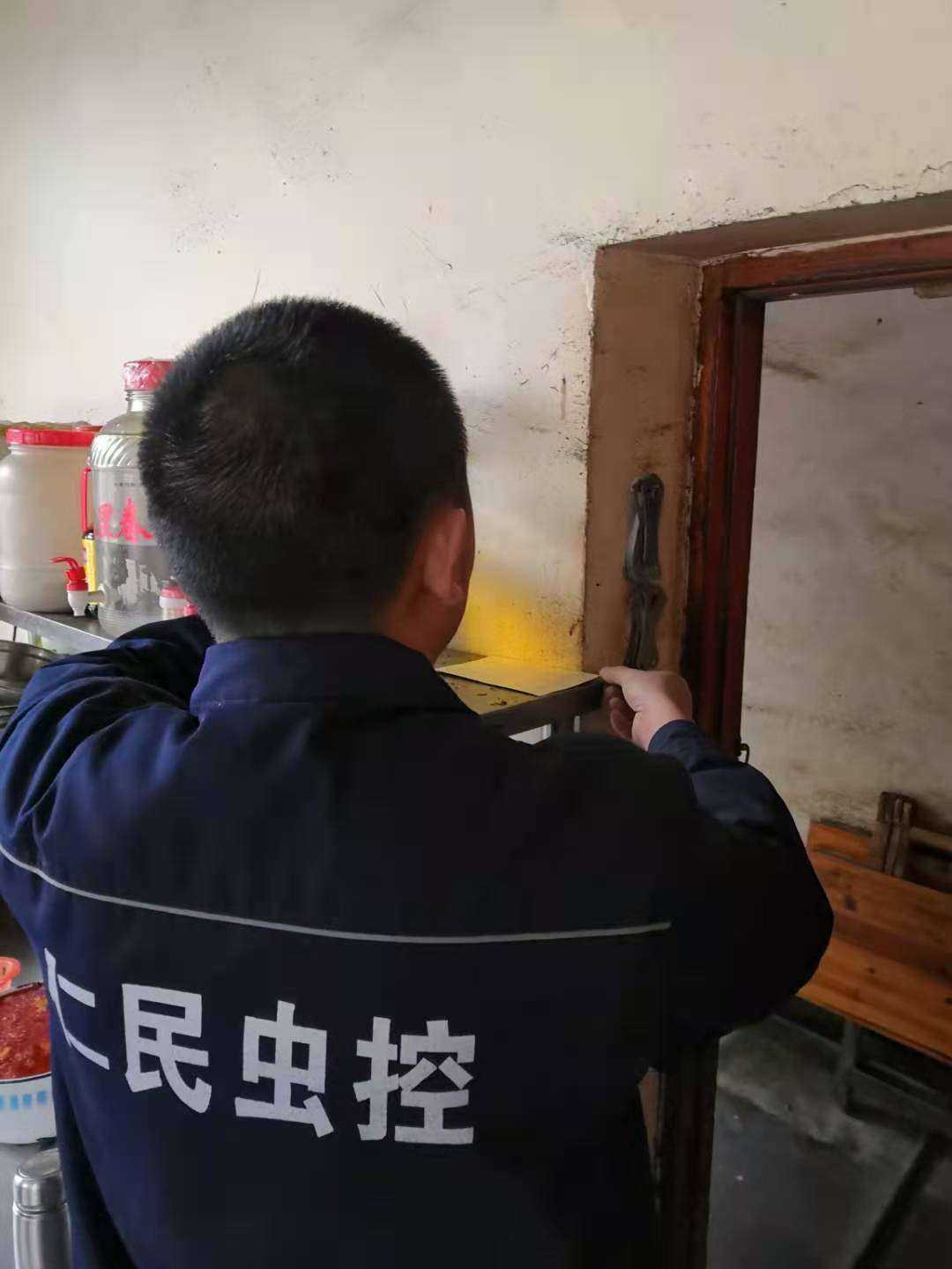武侯区灭鼠公司老鼠