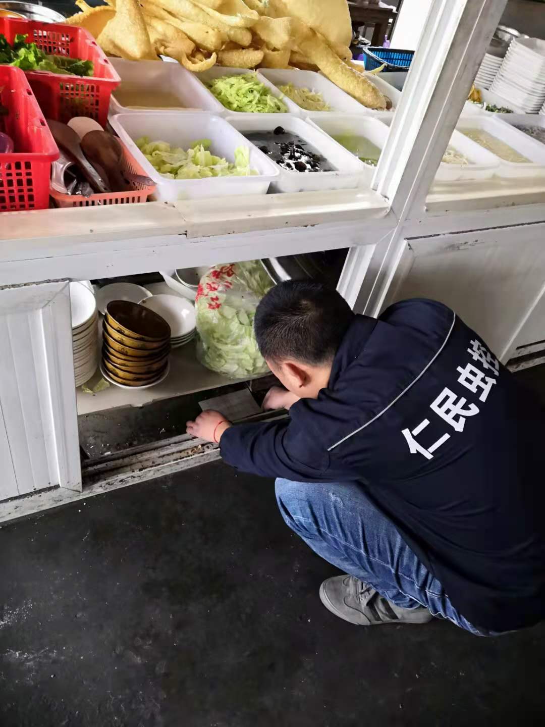 郫县灭鼠公司耗子