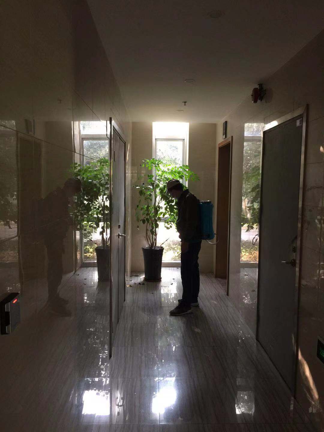 新都灭鼠公司夜磨子