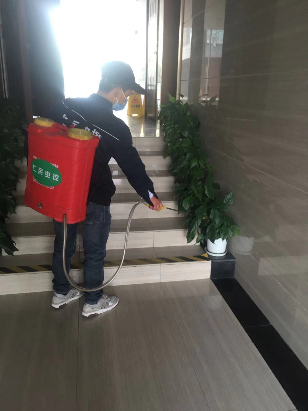 龙泉灭鼠公司家庭除鼠