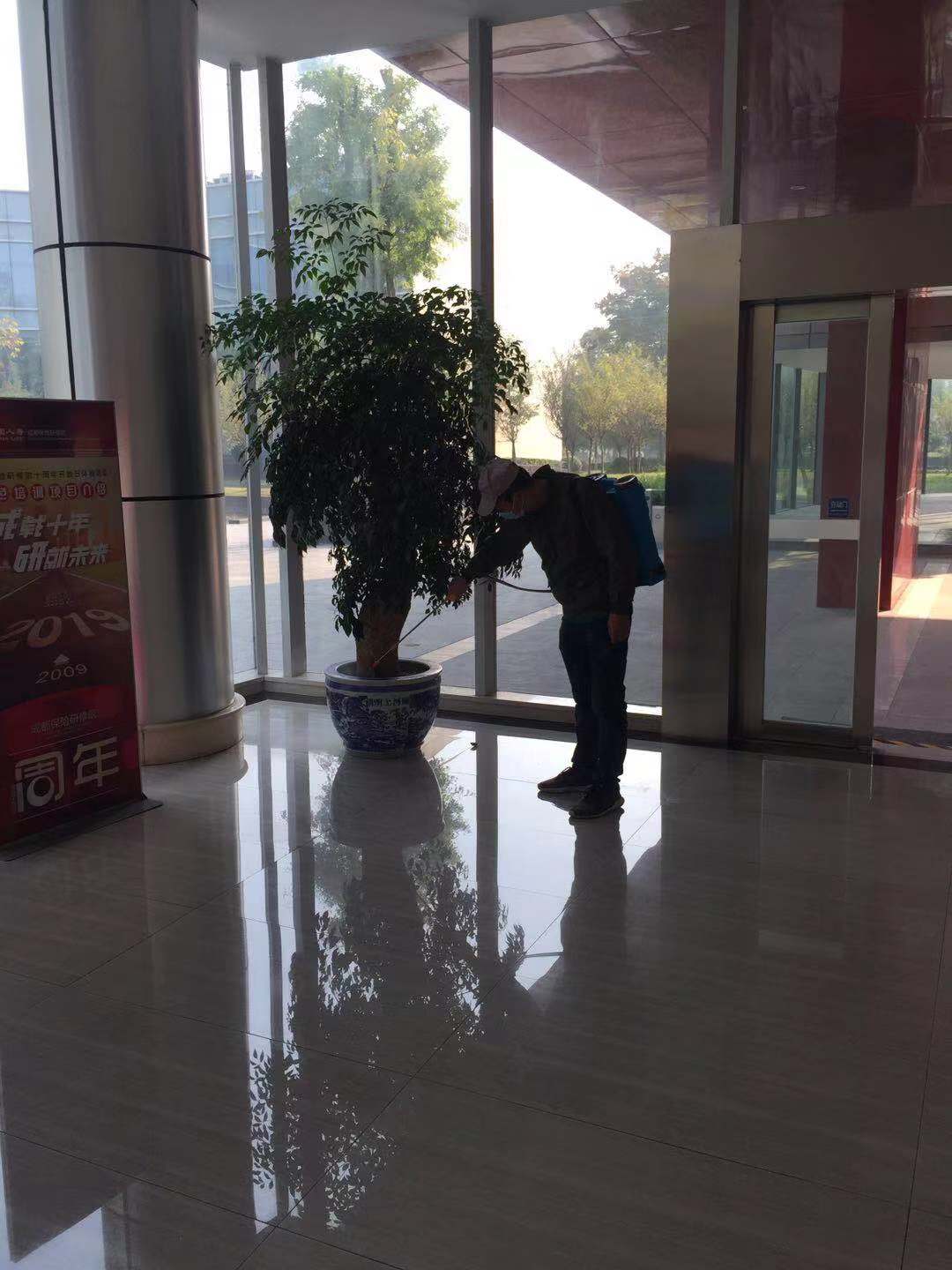 德阳灭鼠公司老鼠