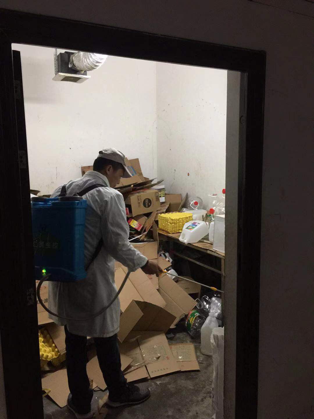 雅安灭鼠公司快捷