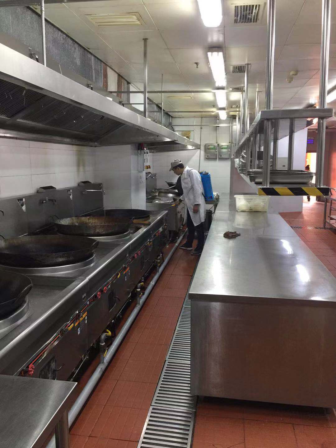 成都市灭鼠公司社君