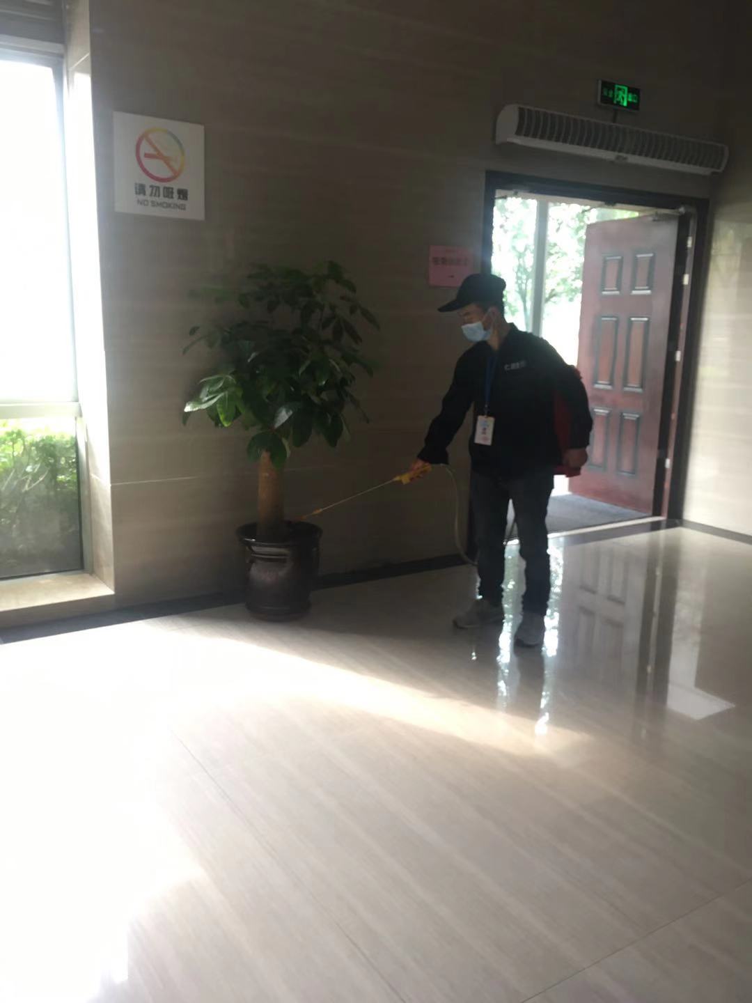都江堰灭鼠公司老鼠