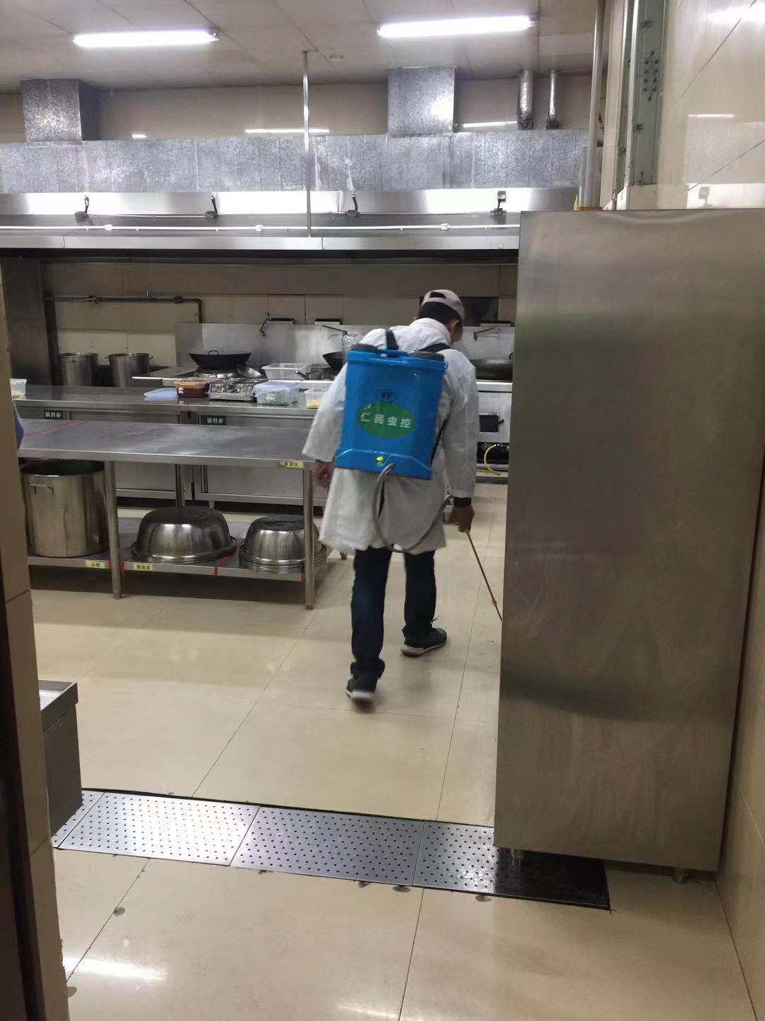 成都灭鼠公司鼠善游泳