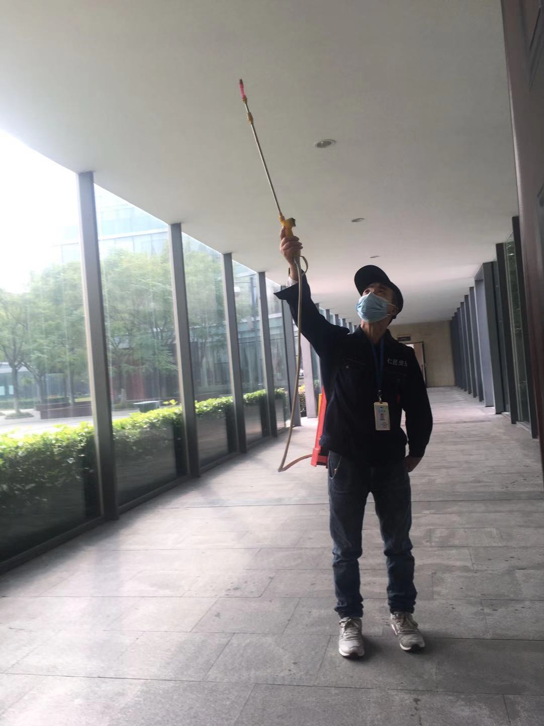 都江堰灭鼠公司臭鼠