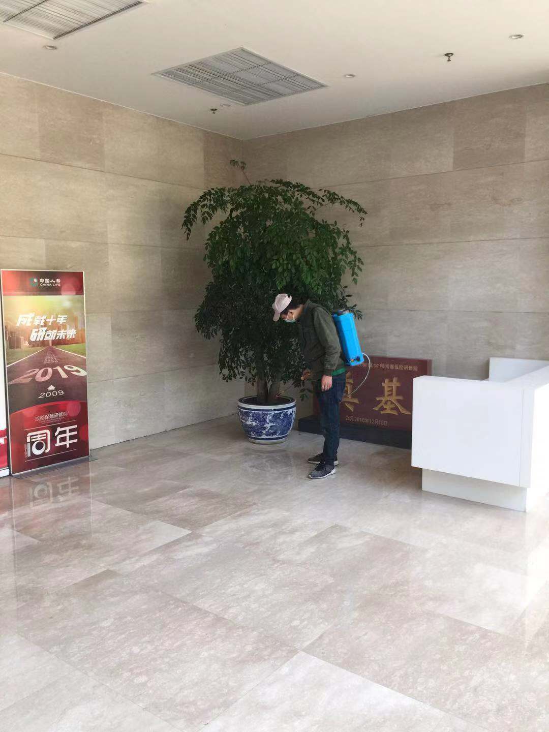 新都灭鼠公司耗子