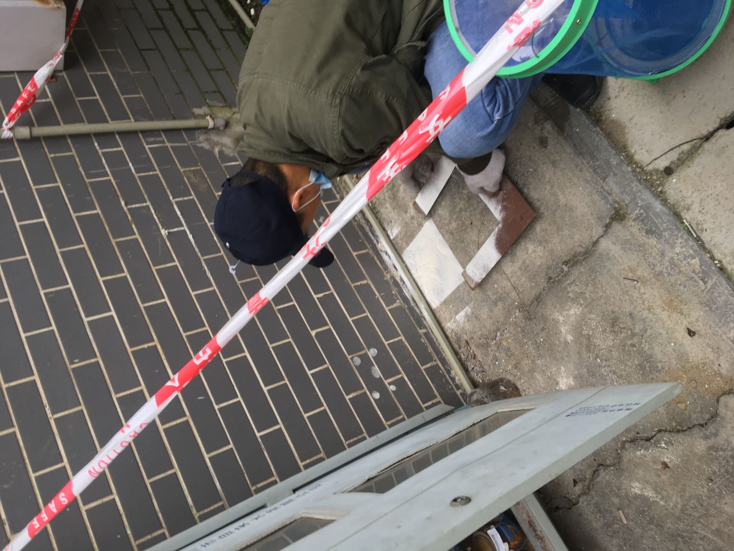 龙泉驿灭鼠公司家鹿