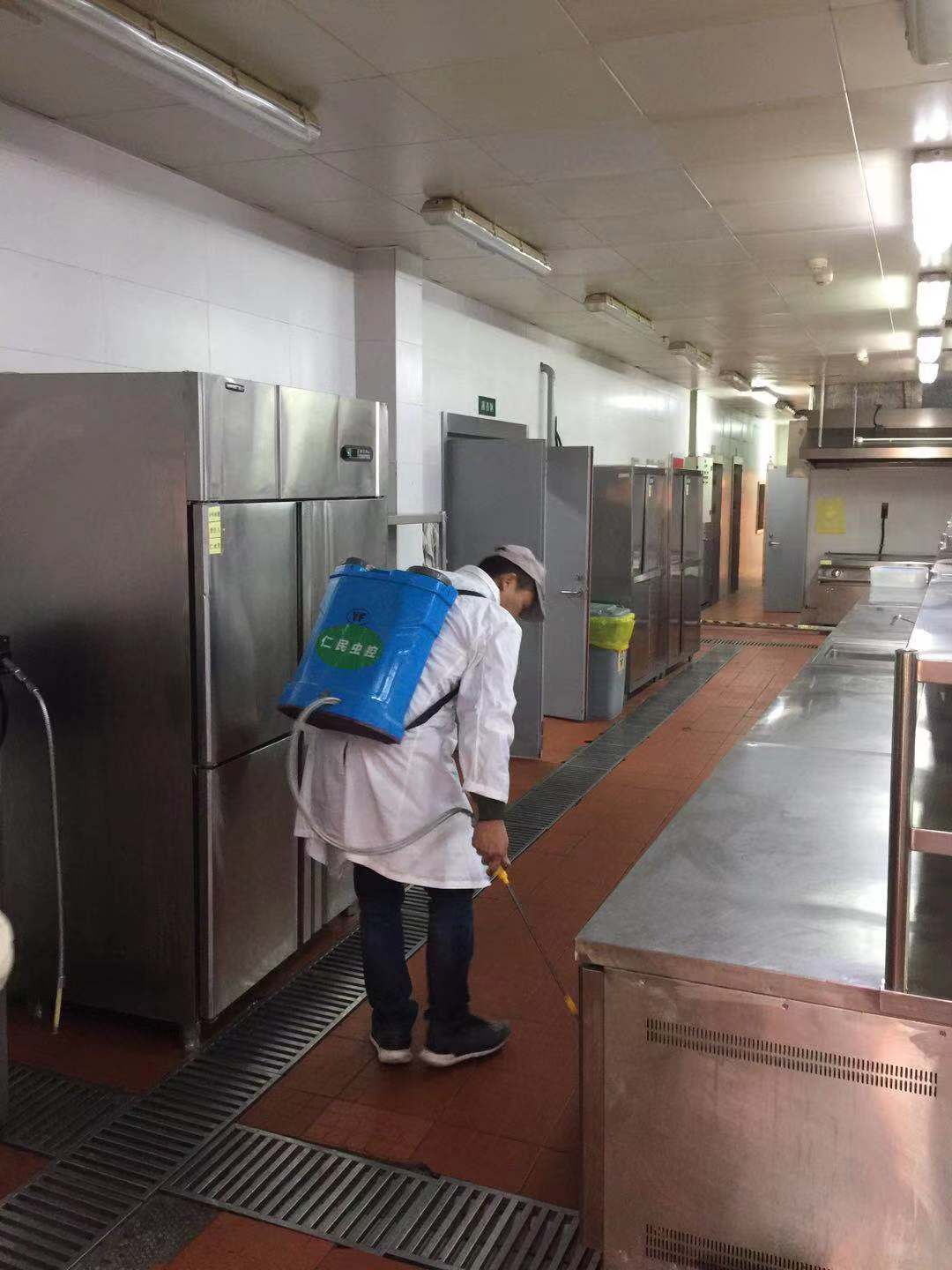 高新区灭鼠公司老鼠