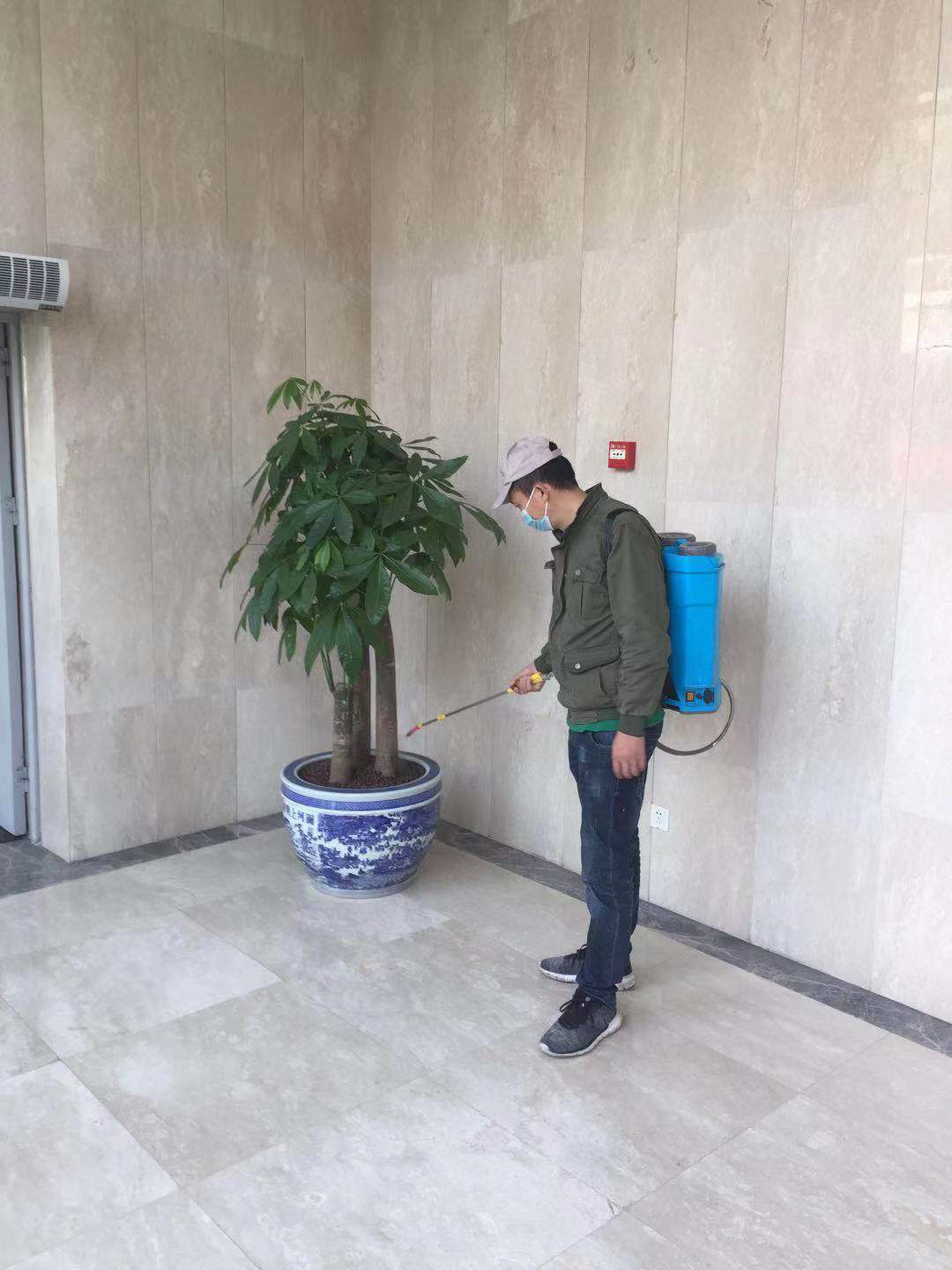 雅安灭鼠公司米老鼠