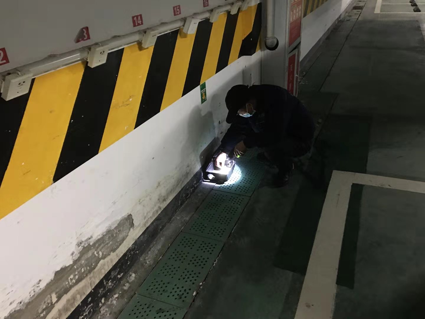 绵竹市灭白蚁公司老牌白蚁企业