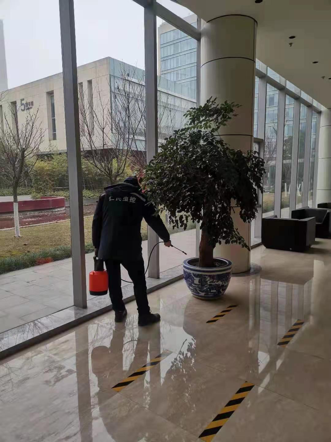 平武县灭白蚁公司老牌白蚁企业