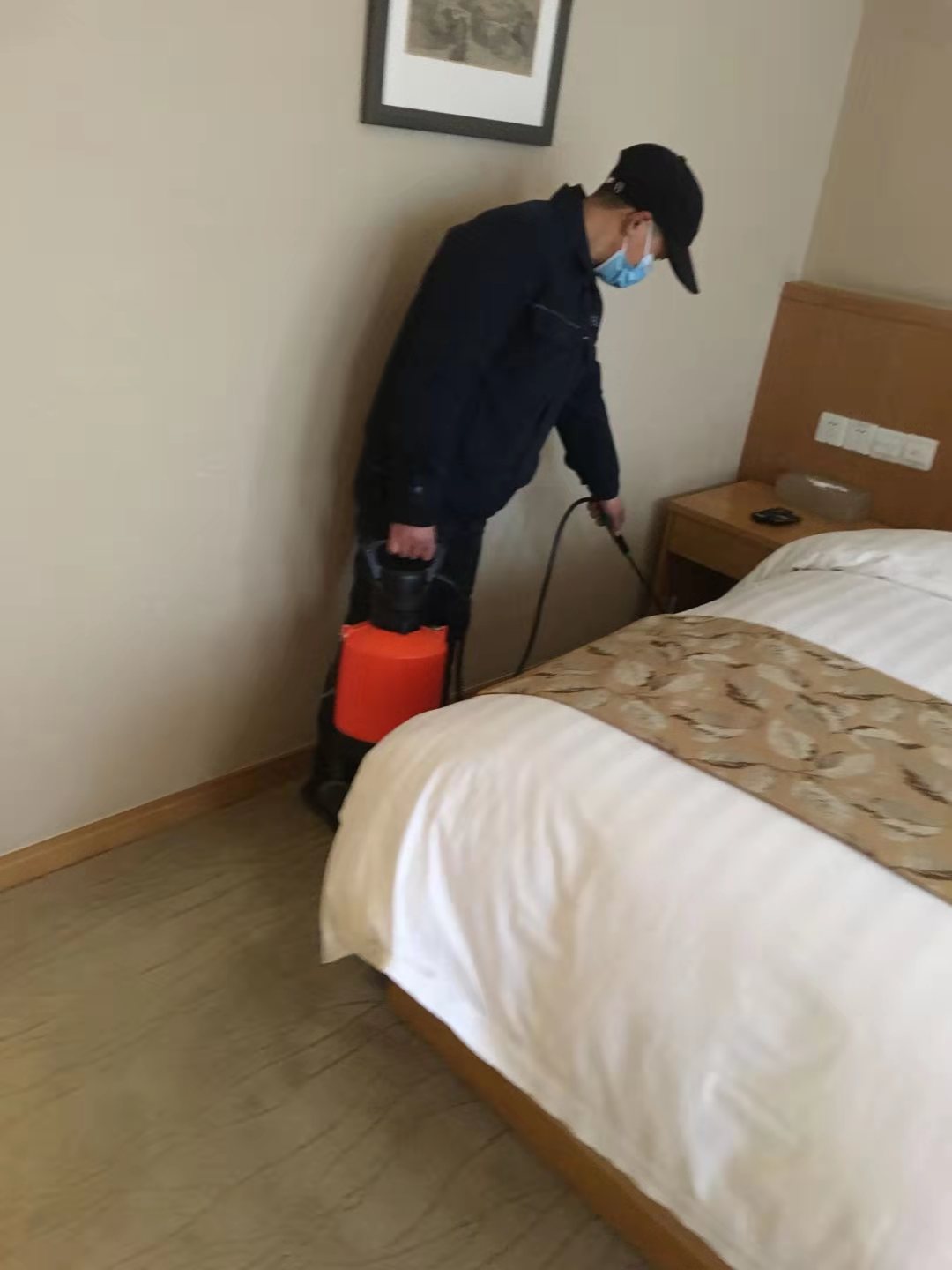 红原县灭白蚁公司老牌白蚁企业
