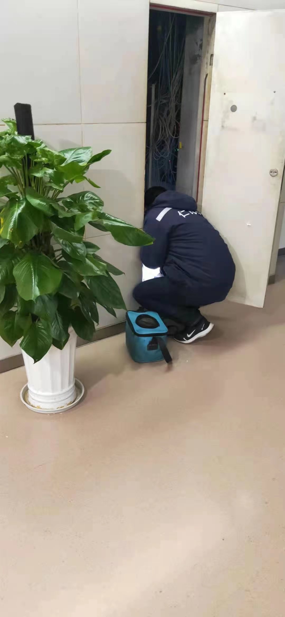 丹巴县灭白蚁公司老牌白蚁企业