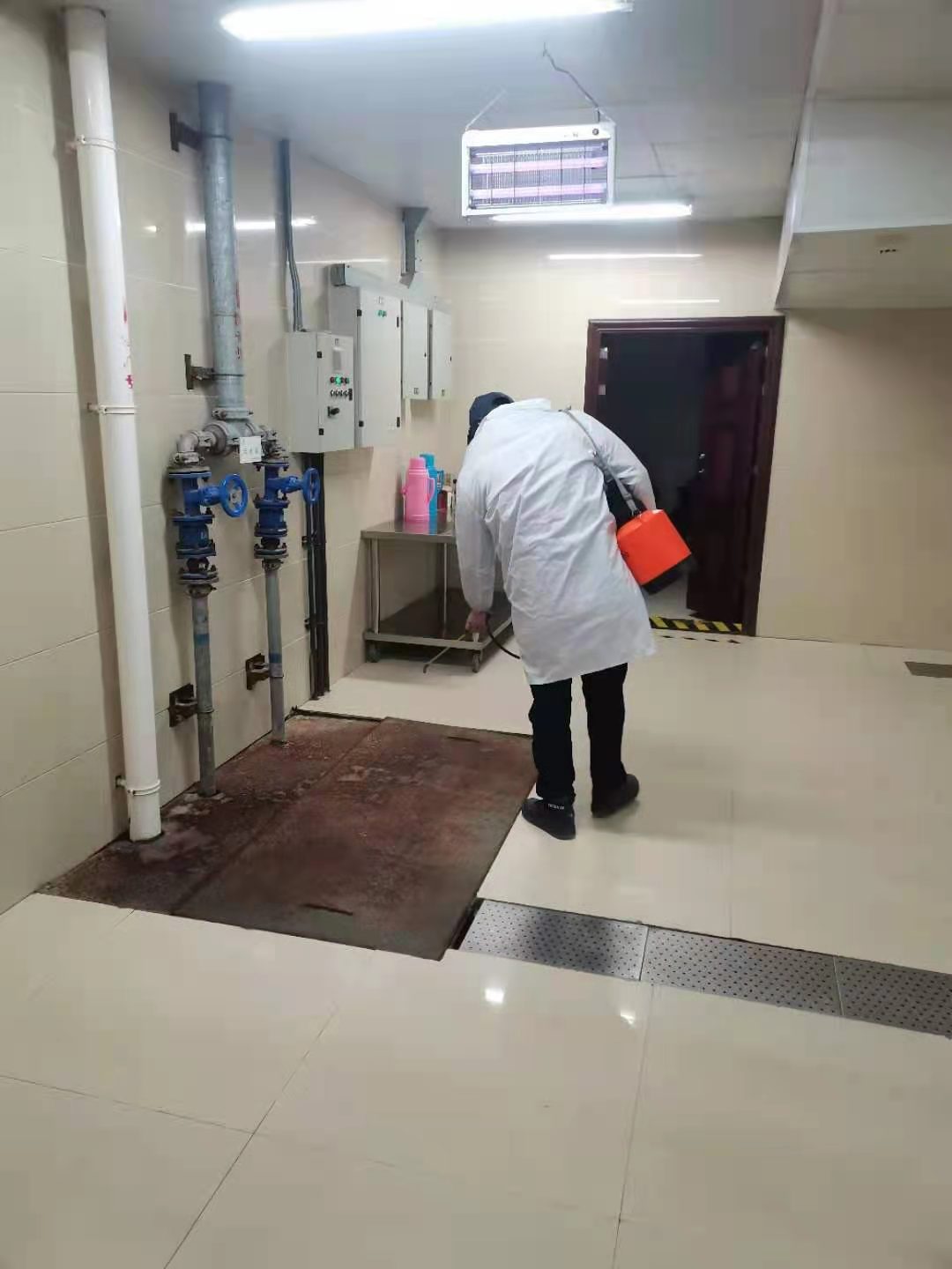 马边彝族自治县灭鼠公司怎么样