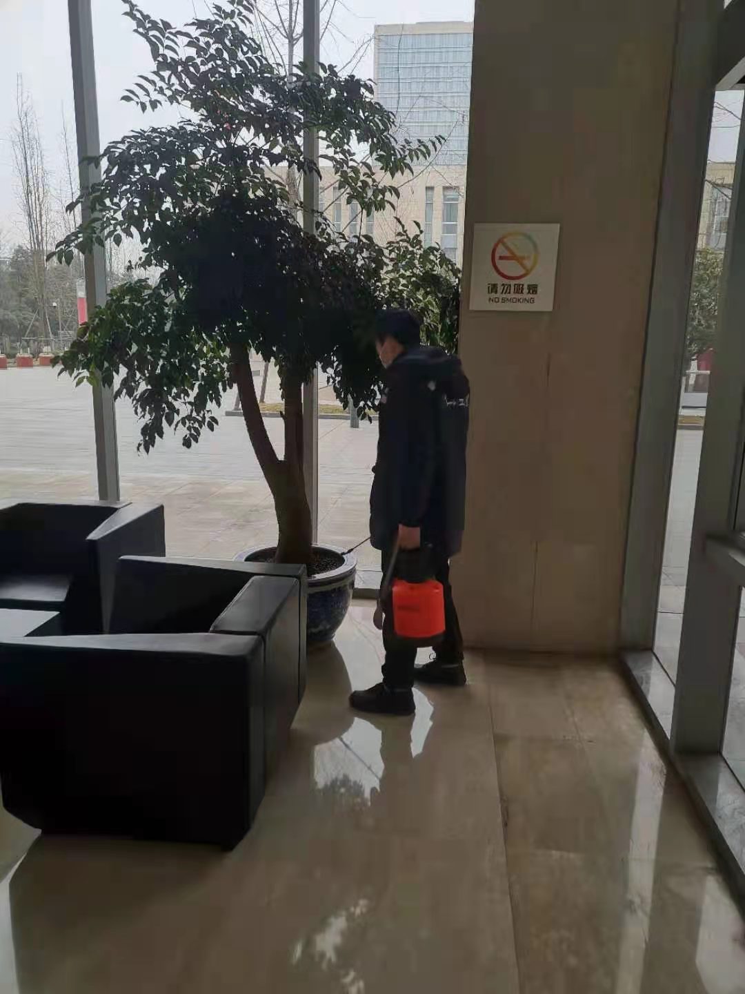 峨眉山市灭白蚁公司老牌白蚁企业