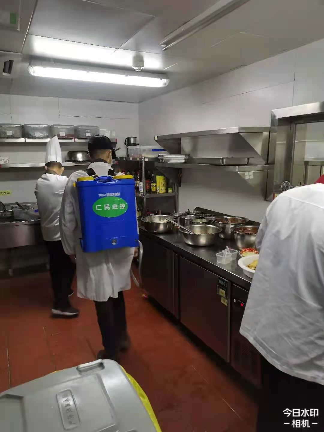 双流灭鼠公司景秀泉城社区