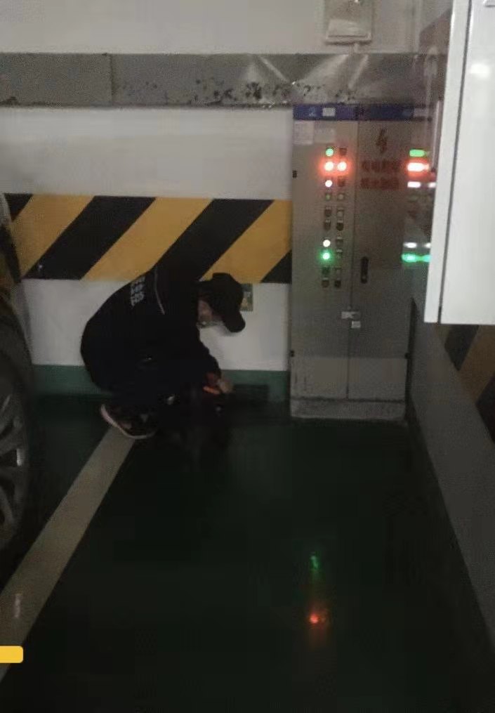 双流灭鼠公司石桥社区