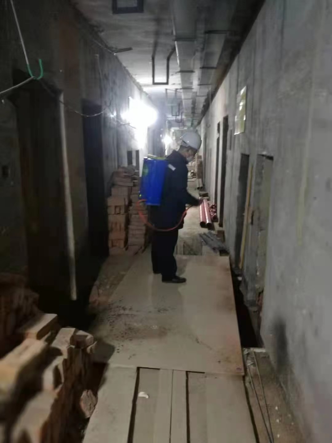 双流灭鼠公司彭家场社区