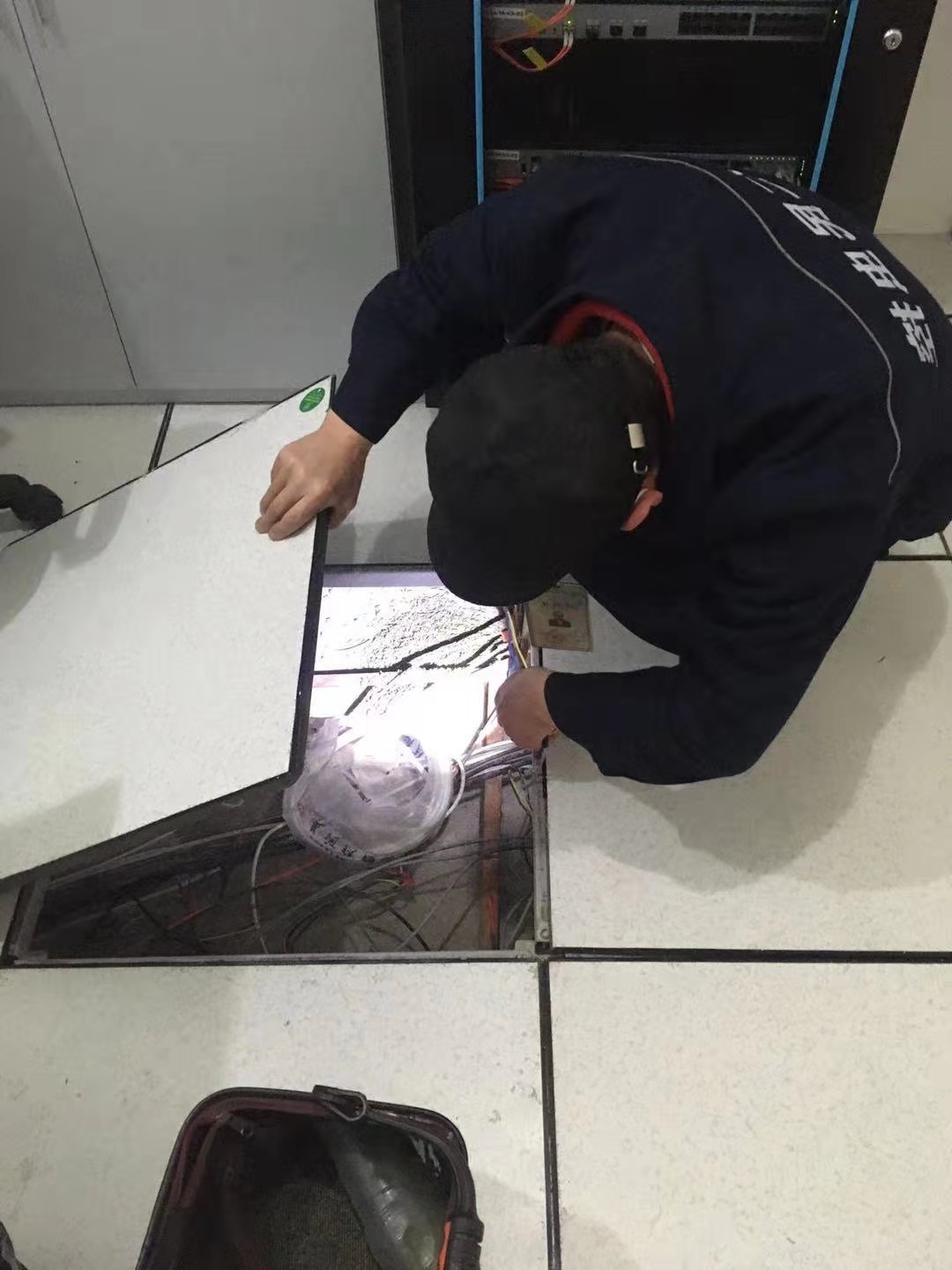 双流灭鼠公司常乐社区