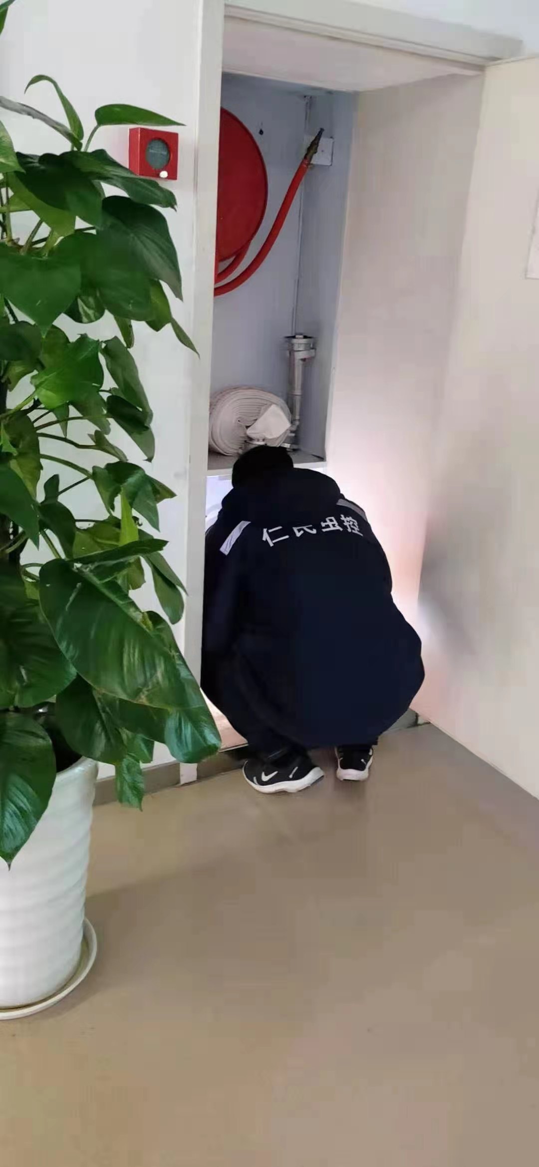 双流灭鼠公司永乐社区