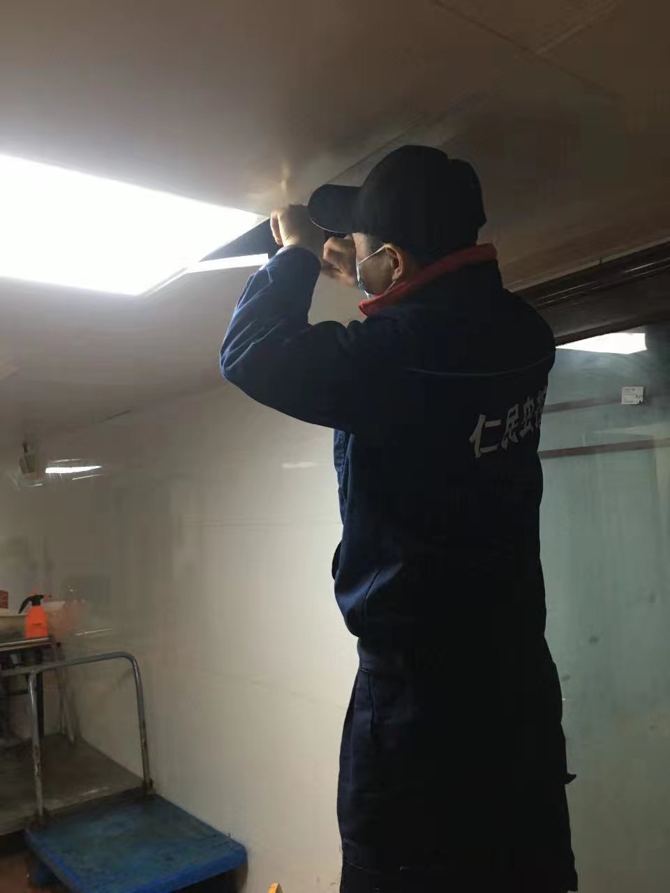 双流灭鼠公司高峰社区