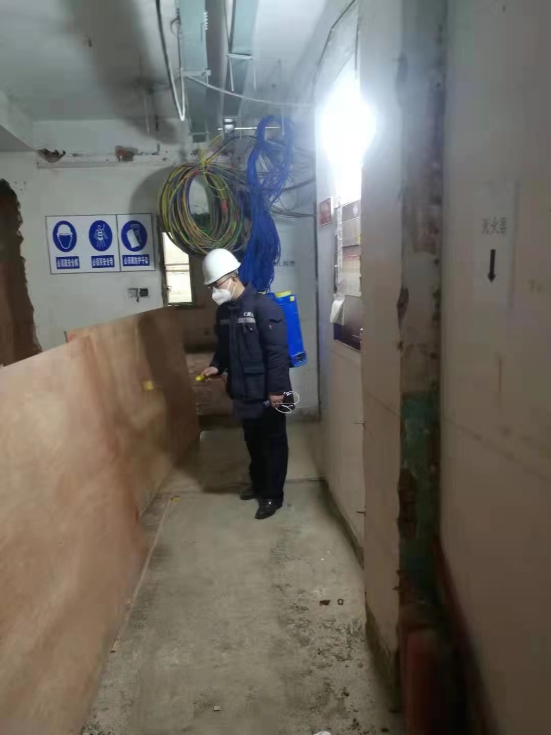双流灭鼠公司桃源村