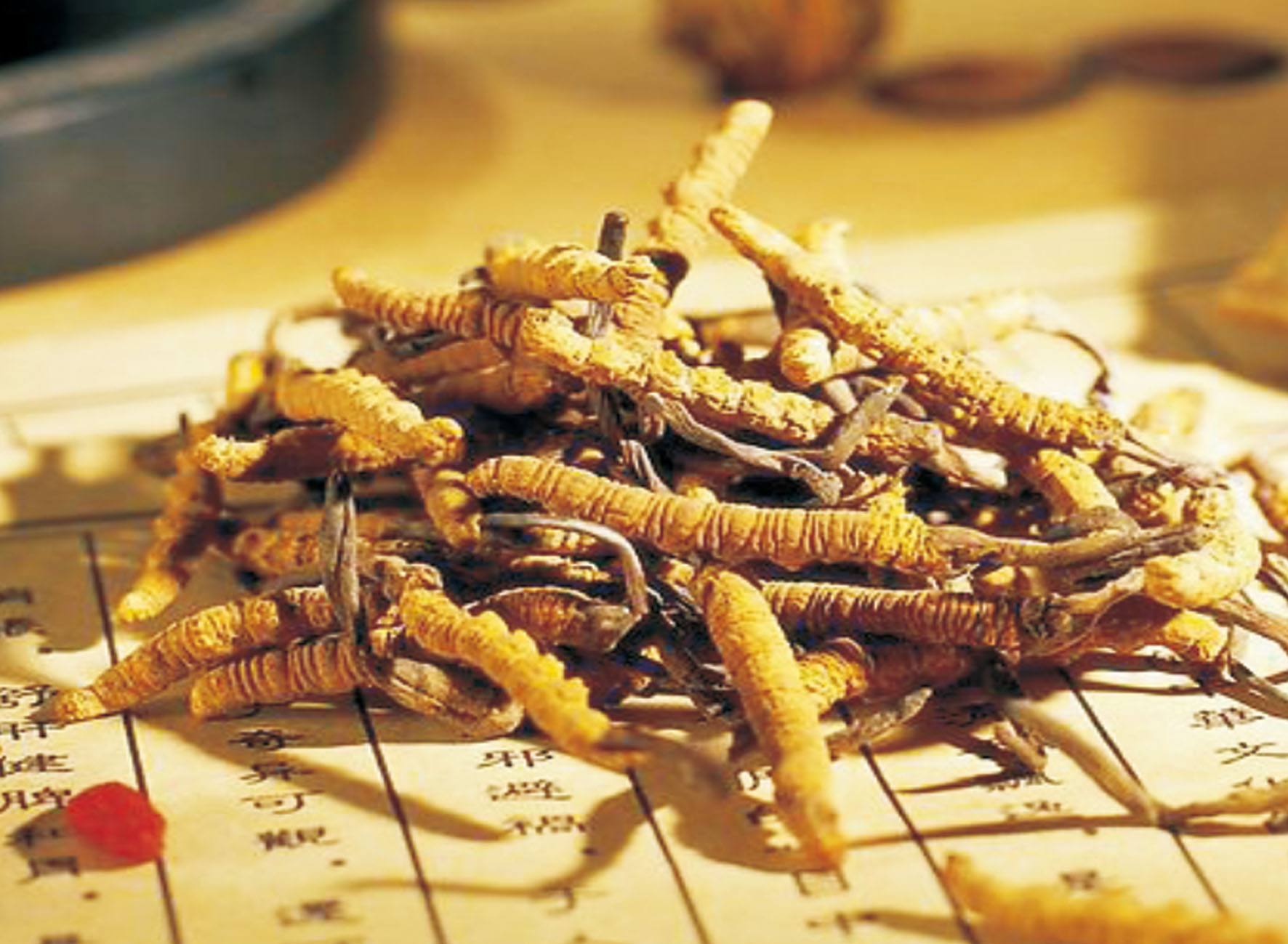 杭州冬虫草回收多少钱