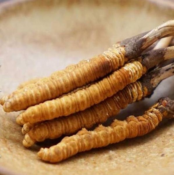 上海虫草礼盒回收