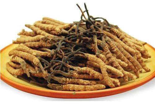 惠州礼盒回收冬虫夏草